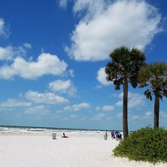 Meet your Posher, Joyce - Picture 1 of 1